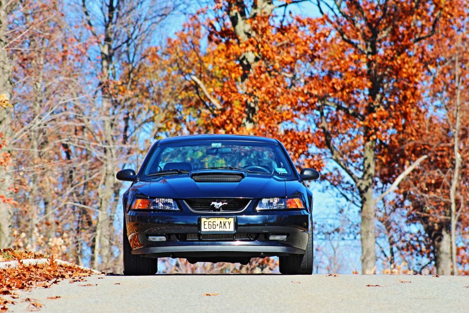 Black Ford Mustang parked on a road with autumn trees.