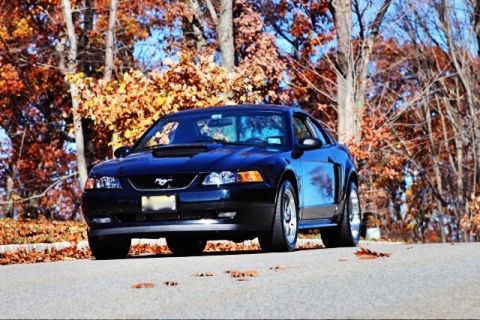 2002 Ford Mustang photo