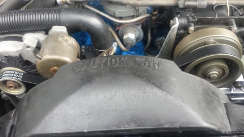 1980 Ford Mustang