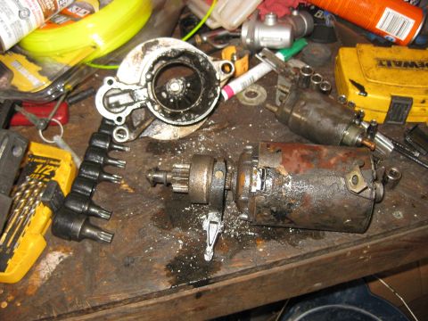 1994 Ford Bronco - A disassembled starter motor sits on a wooden workbench alongside various tools, including a set of Torx bits and a yellow Dewalt case.