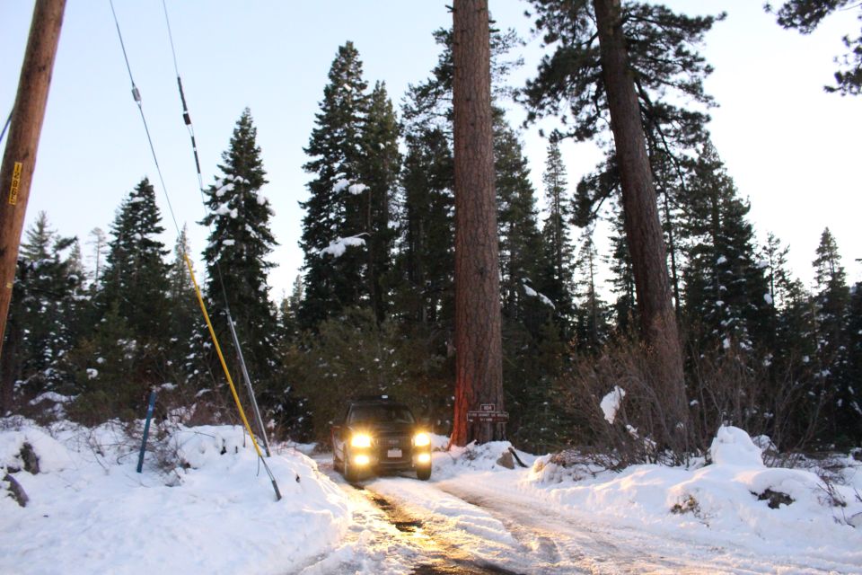Dark SUV driving on a snowy road through a forest.