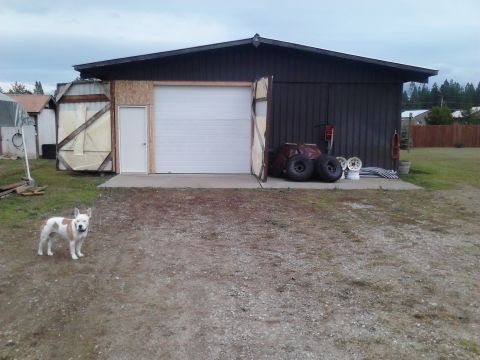1989 Ford Bronco - A white and brown dog stands in a gravel driveway in front of a dark brown garage. The garage has a white roll-up door and a side door, wit…