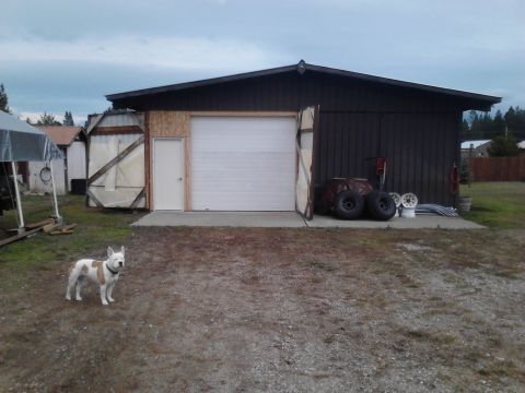 1989 Ford Bronco - A white and tan dog stands in a gravel driveway in front of a dark-colored garage. The garage has a large white roll-up door and a side doo…