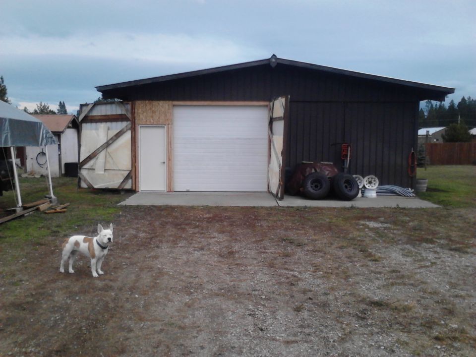 Dog in front of a garage