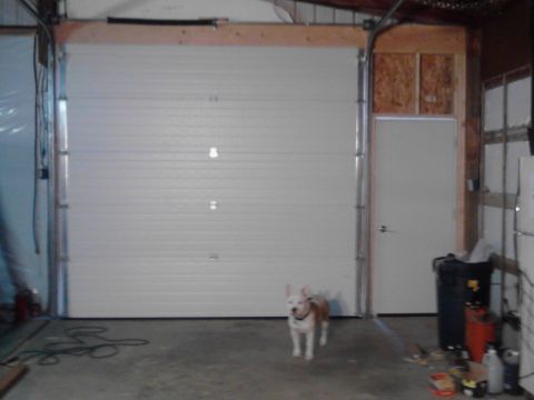 1989 Ford Bronco - A dog stands in front of a closed garage door. To the right of the garage door is a white door and some storage bins.