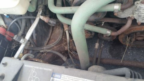 1991 Ford LTD Crown Victoria - Photograph of engine hoses; an accessory-belt-routing label is partly visible but not a readable diagram.
