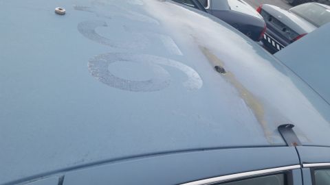 1991 Ford LTD Crown Victoria - Photograph of a Caprice hood with faded paint, not a technical document.