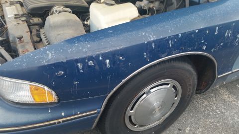 1991 Ford LTD Crown Victoria - Photograph of a blue car's front fender, headlight and wheel, not a technical document.