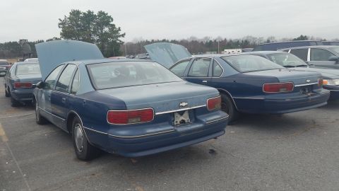1991 Ford LTD Crown Victoria - Photograph of blue Chevrolet sedans in a salvage lot, not a technical document.