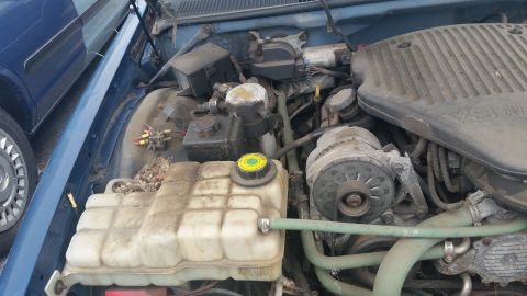 1991 Ford LTD Crown Victoria - Photograph of an engine compartment showing the coolant overflow tank, alternator, and V8 engine, not a document.