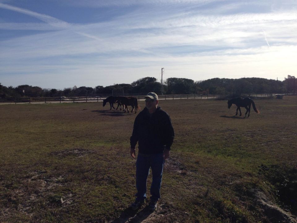 Man in a field with horses