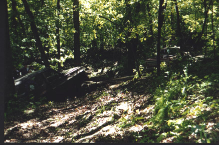 1991 Ford Bronco - A vehicle sits partially obscured by trees and undergrowth in a forest setting.