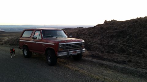 1981 Ford Bronco - A red 1980s Ford Bronco is parked on a gravel road next to a rocky hillside. A dog wearing an orange vest stands on the left side of the ro…