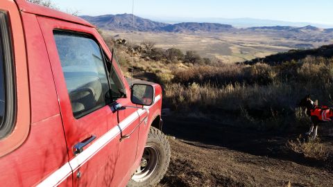 1981 Ford Bronco - The side of a red 1980s Ford Bronco is parked on a dirt road overlooking a valley. A small dog wearing an orange vest stands in the dry gra…
