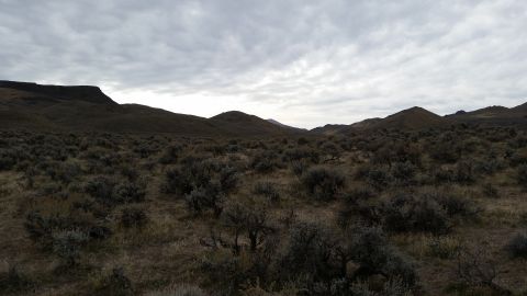 1981 Ford Bronco - A wide, overcast sky looms over a desolate landscape of rolling hills covered in dry brush and sparse vegetation. The terrain is uneven and…