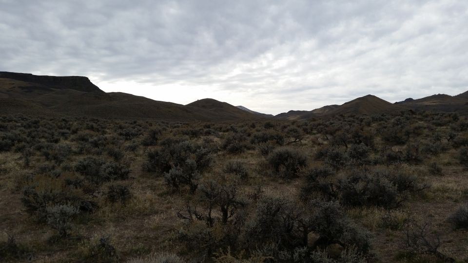 Overcast sky over a dry, brush-covered hillside landscape.
