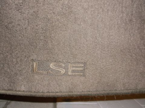 1999 Mercury Grand Marquis - The image shows a close-up of a tan carpeted floor mat with the embossed letters "LSE" visible.