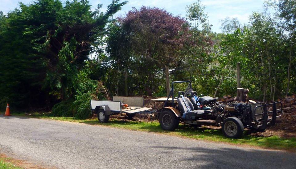 Custom buggy with exposed engine and trailer parked on roadside next to trees and cut logs.