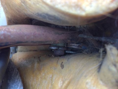 1979 Ford Bronco - Coins and debris are visible within the seat mechanism of a vehicle.