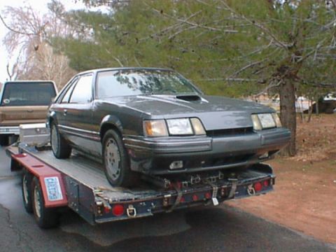 1986 Ford Mustang - Fresh from paint! It only took 3 years!