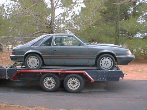 1986 Ford Mustang photo