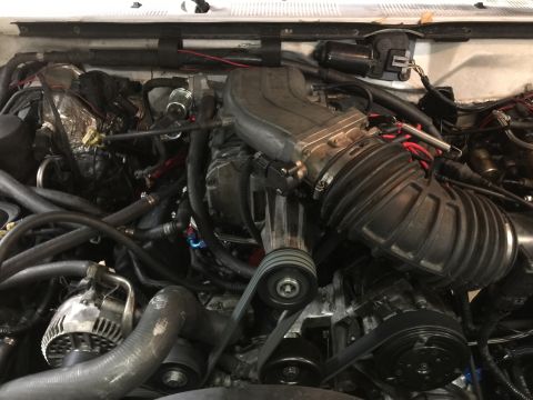 1996 Ford Bronco - A close-up view of the engine bay of a Ford Bronco, showing the intake manifold, alternator, and various hoses and wiring.