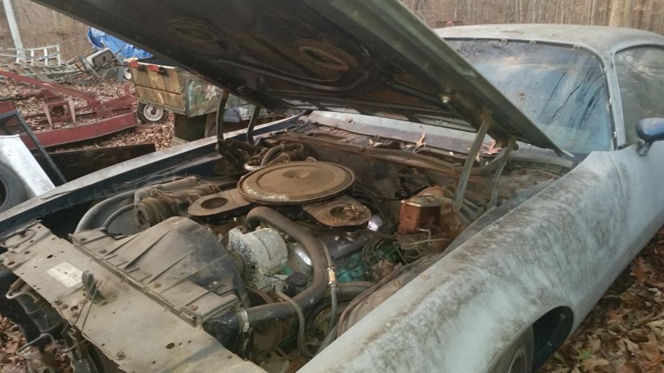 1970 Pontiac Firebird “formula”