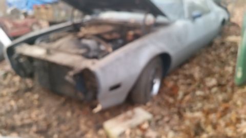 1970 Pontiac Firebird - This 1970 Pontiac Firebird appears to be in a state of disrepair, with its hood up and front end damaged.