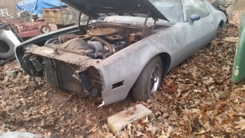 1970 Pontiac Firebird - This 1970 Pontiac Firebird sits abandoned, its front end damaged and hood open, revealing the engine.