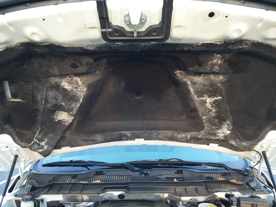 Underside of a car hood with sound deadening material. Windshield wipers and cowl are visible below