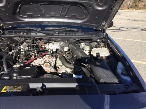 2001 Ford Crown Victoria