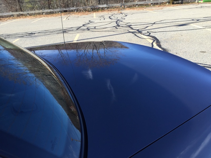 Dark blue hood and windshield of a 2001 Ford Crown Victoria with reflections of trees and sky.