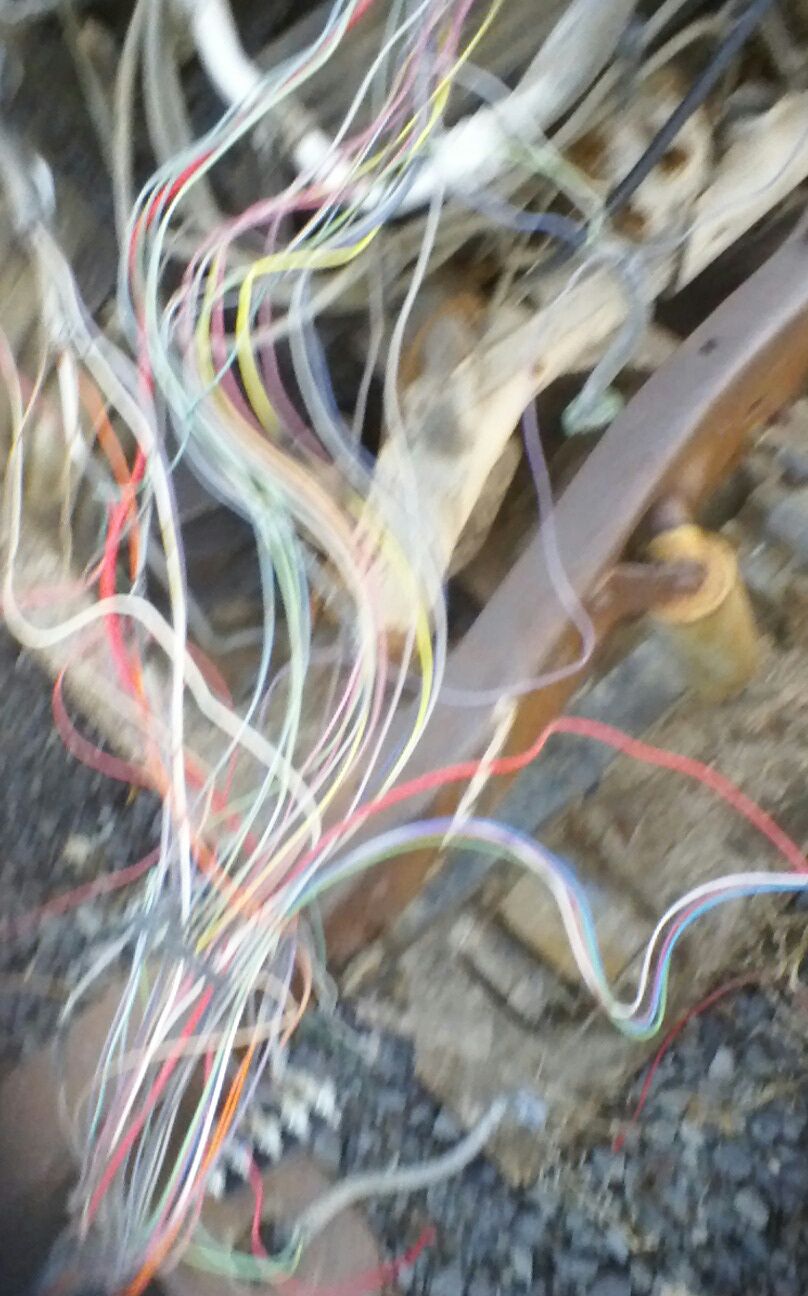 Blurry close-up of many colorful wires tangled together.