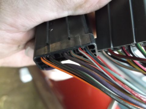 1999 Mercury Grand Marquis - A close-up view shows a hand holding a black electrical connector with numerous colorful wires emerging from it. The wires are neatly bundl…