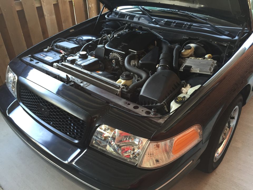 Black Ford Crown Victoria engine bay with hood open, front grille and headlights visible.