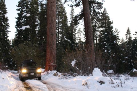 2003 Ford Expedition “TOW RIG”