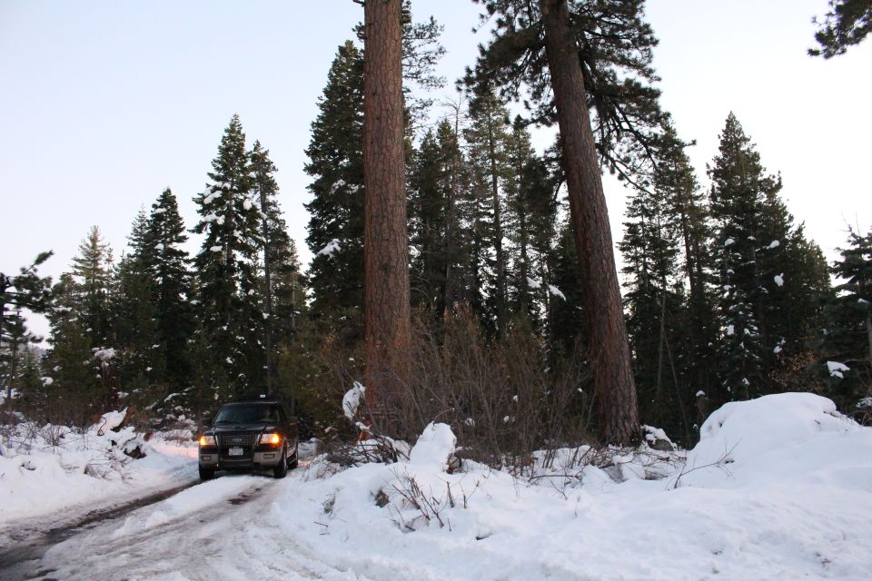 Dark Ford Expedition driving on a snowy road through a pine forest.