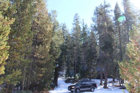 2003 Ford Expedition “TOW RIG”