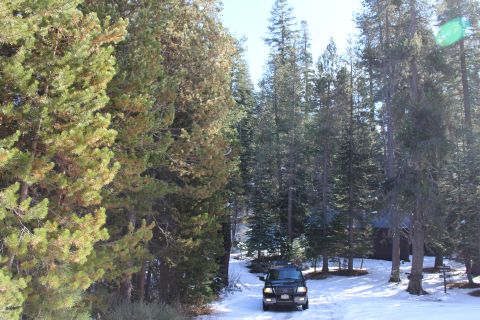 2003 Ford Expedition “TOW RIG”