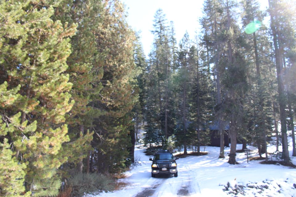 Black Ford Expedition driving on a snowy road through a pine forest.