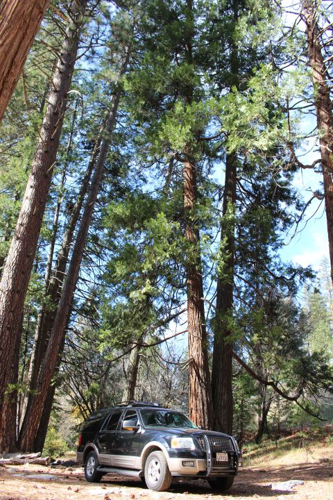 2003 Ford Expedition “TOW RIG”