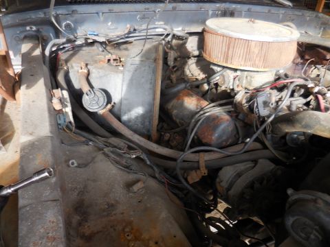 1979 Ford Bronco - The engine bay of a vehicle shows a rusty air filter and carburetor, with visible wiring and hoses.