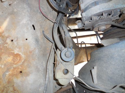 1979 Ford Bronco - Close-up view of engine bay components including hoses, wires, and alternator.