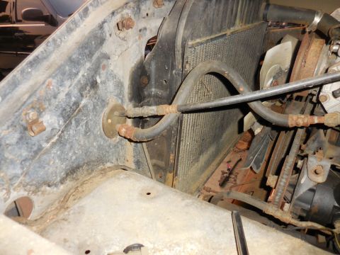 1979 Ford Bronco - Close-up view of the engine bay, focusing on the radiator and associated hoses, with some rust evident.