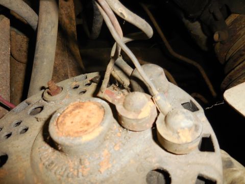 1979 Ford Bronco - A close-up view shows the rusty terminals and wiring on an alternator, likely from a 1979 Ford Bronco.