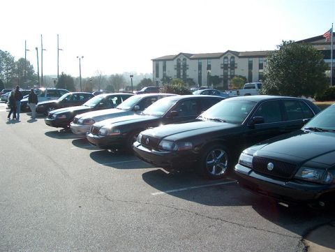 2001 Ford Crown Victoria - Several black Ford Crown Victoria sedans are parked in a lot on a sunny day.
