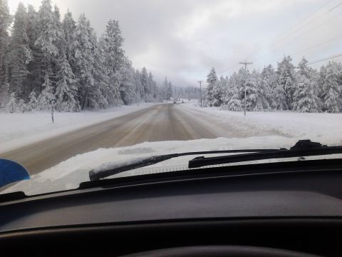 1990 Ford Bronco - View from inside a vehicle driving on a snow-covered road lined with snow-laden pine trees. The dashboard and windshield wipers are visible…