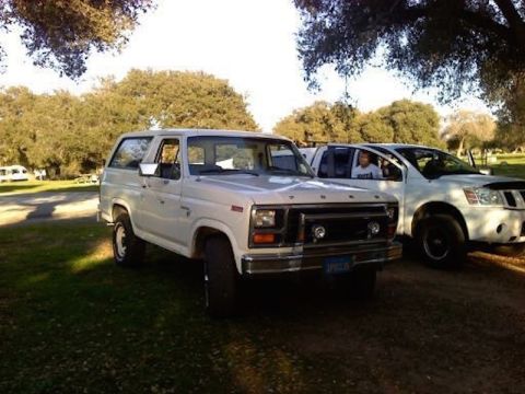 1981 Ford Bronco