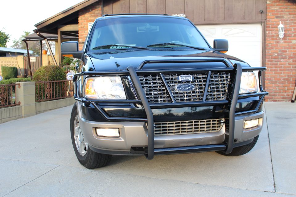 2003 Ford Expedition front view with bull bar