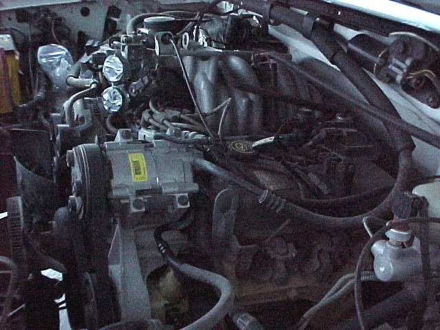 engine bay with hoses, belts, and AC compressor visible